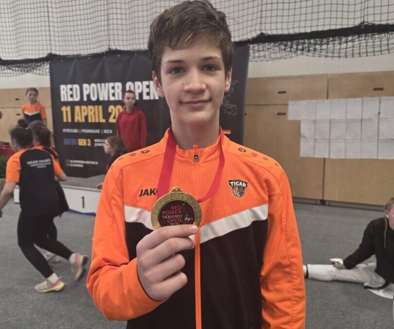 Posebni sportski uspjesi  – Dominik Mišić, 6.b